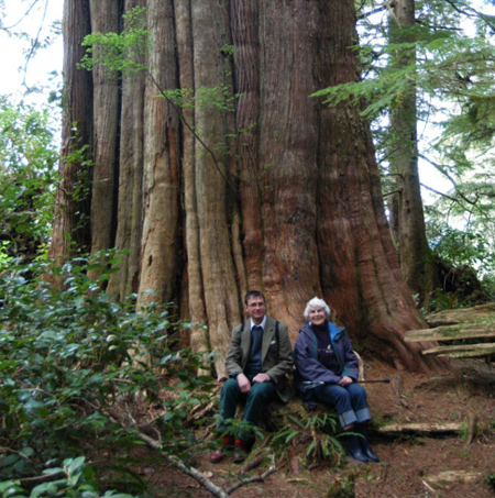 Old growth conservation - Healthy Forest-Healthy Communities (HFHC)