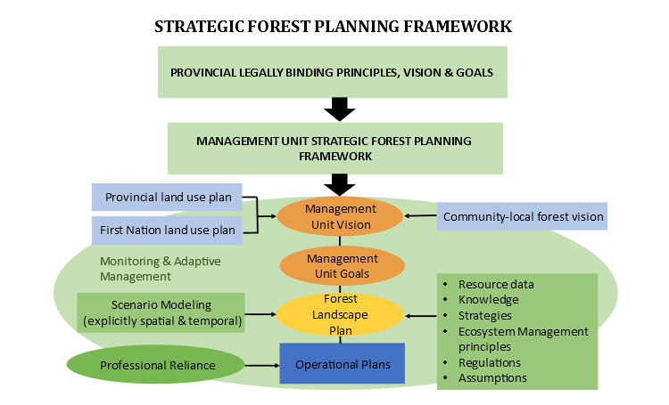 Stewardship - Healthy Forest-Healthy Communities (HFHC)